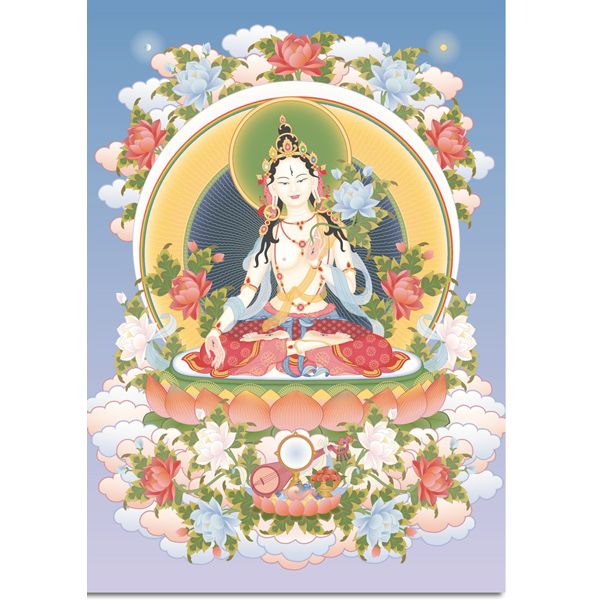 A5: Tara Blanca 2
