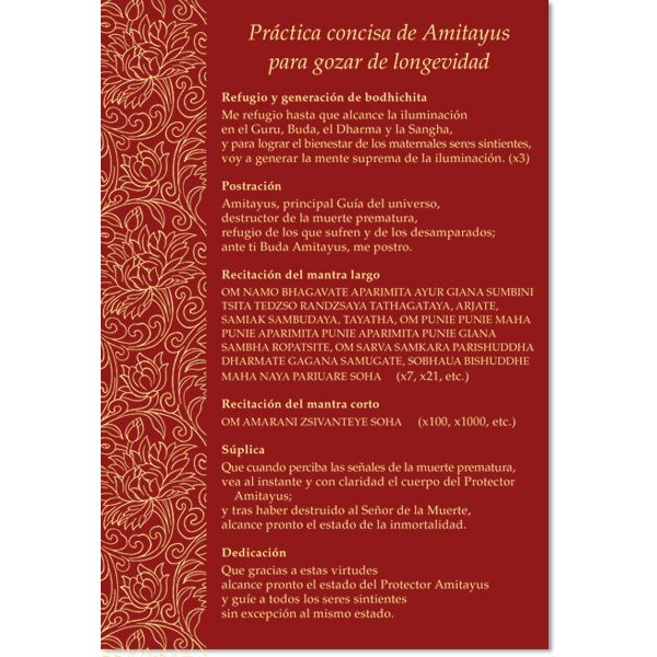 SD: Práctica concisa de Amitayus (lámina) 