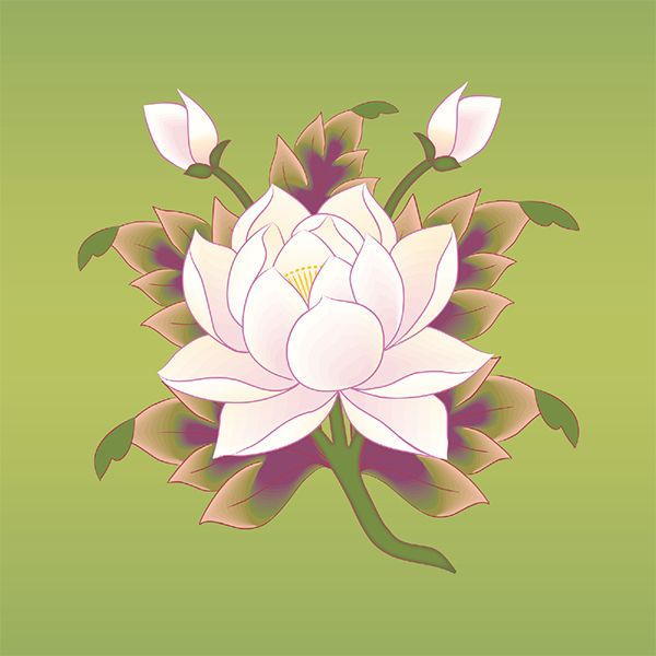 Imagen relieve: Loto Precioso, El