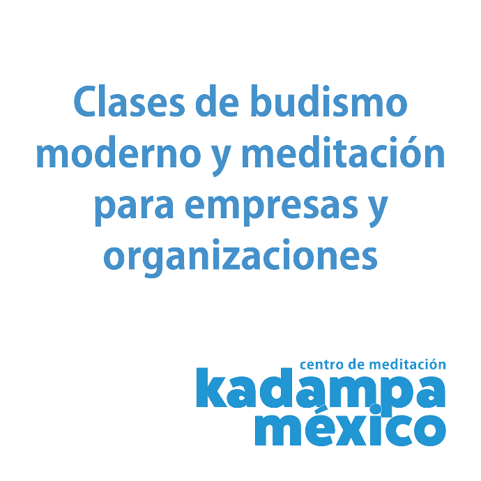 Clases de budismo moderno y meditación para empresas y organizaciones