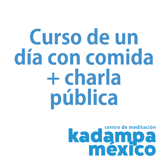 Curso de un día con comida + Charla pública