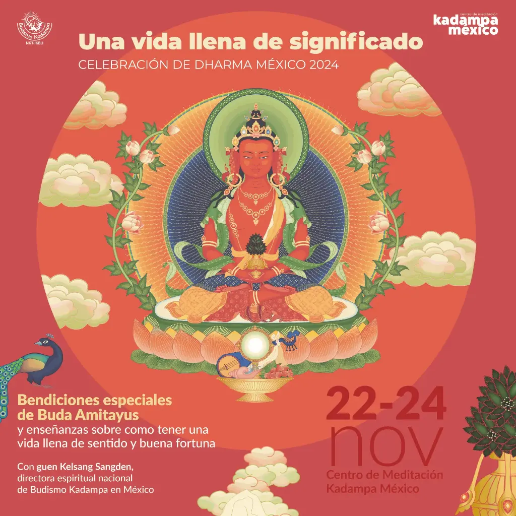 Grabaciones Celebración de Dharma Mexico 2024