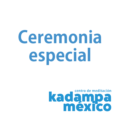 Ceremonia especial $350