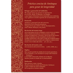 [SDPAM] SD: Práctica concisa de Amitayus (lámina) 