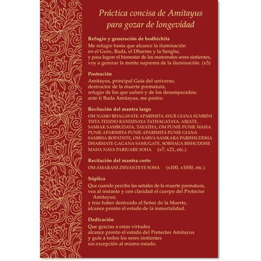 [SDPAM] SD: Práctica concisa de Amitayus (lámina) 
