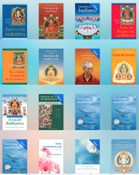 [CLVGKG] COLECCION LIBROS DE GUESHE KELSANG GYATSO