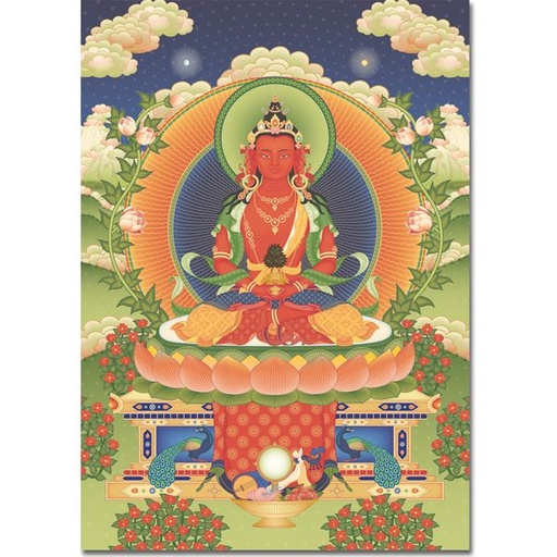 [A2AMI] A2 Póster grande 50x76cm Amitayus