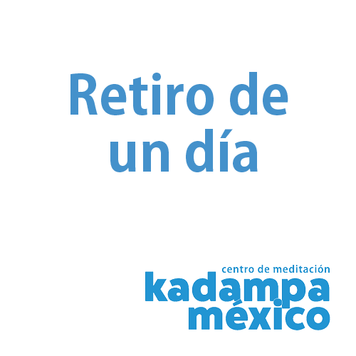 Retiro de 1 día